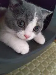 Rioちん