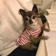 さぁちゃん