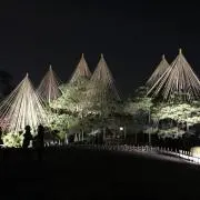 ひろの画像