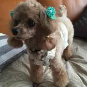 tumugu プロフ確認お願いします