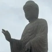 ヒロポンの画像