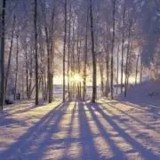 正規品 venum UFC ジャケット トプリアモデル ブラック Rizin L 正規品 venum UFC ジャケット トプリアモデル ブラック Rizin L