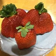 ꙳★*゜Hoshi★Sora✩.*˚