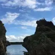 サニーの画像