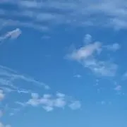 ぽんの画像