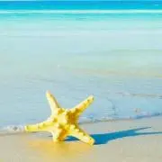 Sea★プロフ必読★(´- `*)