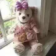 コちゃちゃの画像