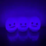長谷の画像