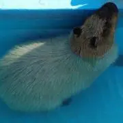 みなと☆★