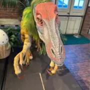 これる