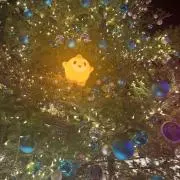 gomaの画像