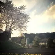 たつー