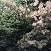 人斬り以蔵
