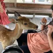 ルビーの画像