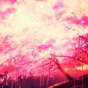 まいの画像