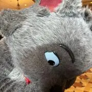 Yの画像