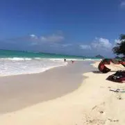なつの画像