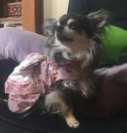 アキ