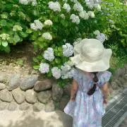 杏mama 購入前にコメント必須の画像