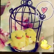 ヒヨ⭐️プロフ必読！の画像