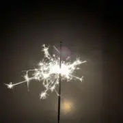 シンボの画像