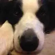 Ta.