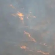 もちもの画像