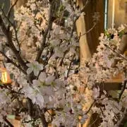 okayumaruの画像