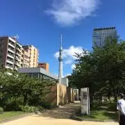 モカ