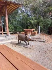 26の画像