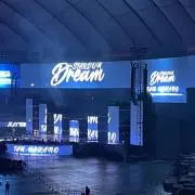 ちょこの画像