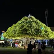Hikaの画像