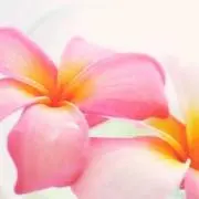 ᵃ♡の画像