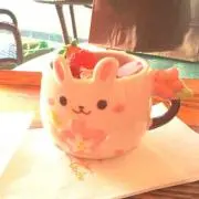 トリンドルの画像