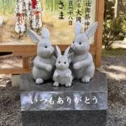 ° 。 ・のりサト° 。 ・手放し中　✿の画像
