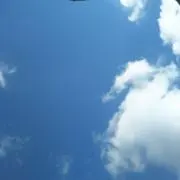 こたこらの画像