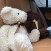 ちぇりーの画像
