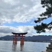 海の画像