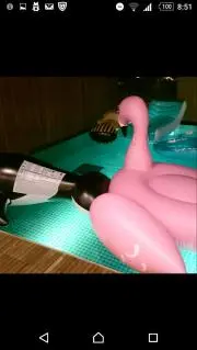 まさぽん