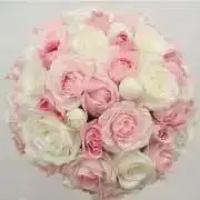 Mの画像