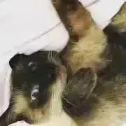 すず☺︎✳︎（プロフ必読）の画像
