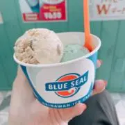 ぴーたろの画像