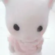 アヤの画像
