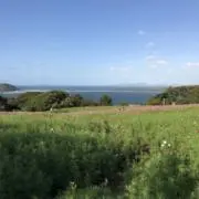 Yuの画像