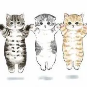 asami 複数購入で値引きしますの画像
