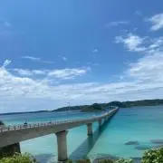 ゆゆゆの画像