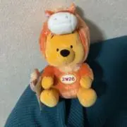 あいぷーの画像