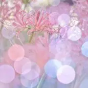 fra(*´∀`*)まりん