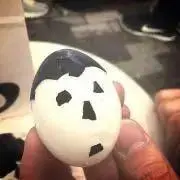 ぱるの画像