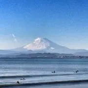 すけさんの画像